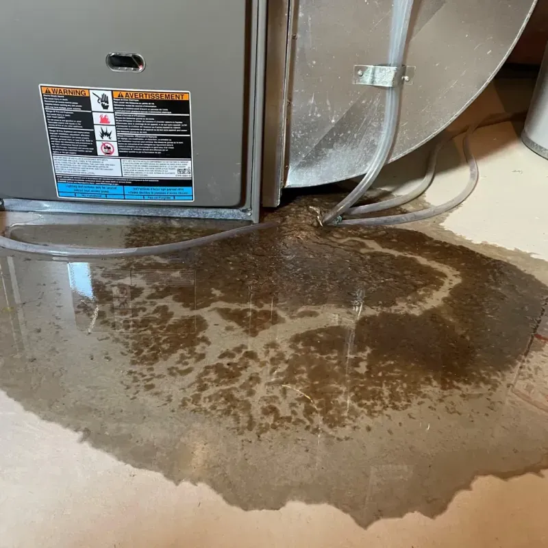 Appliance Leak Cleanup in Lycoming County, PA